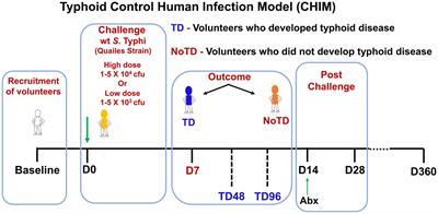 Controlled human infectious models, a path forward in uncovering immunological correlates of protection: Lessons from enteric fevers studies